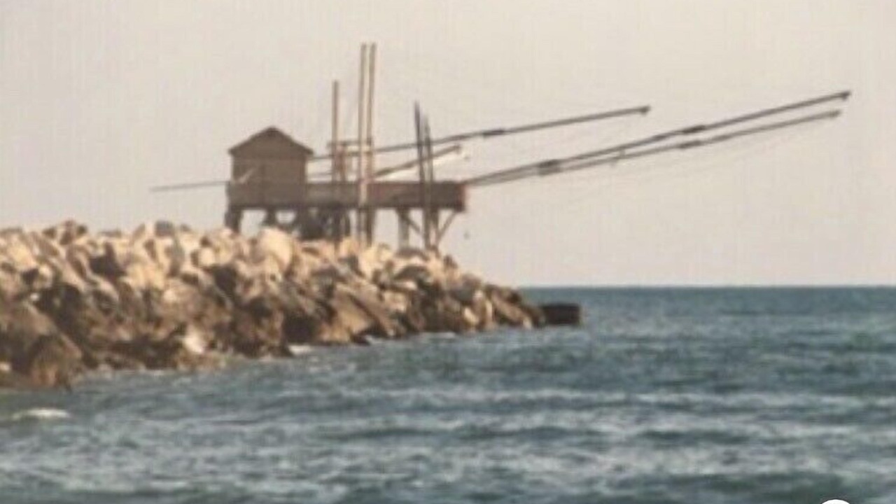 Photo of Others in Santa Maria