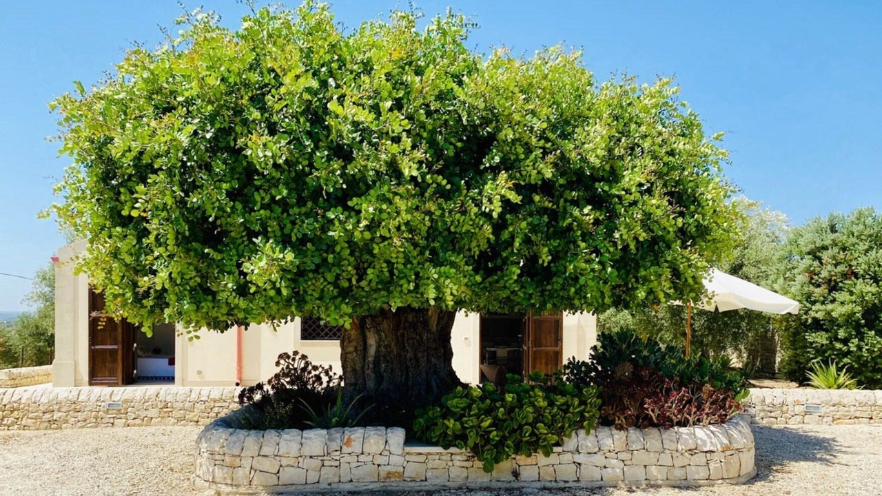 Photo of Outdoor in Noto