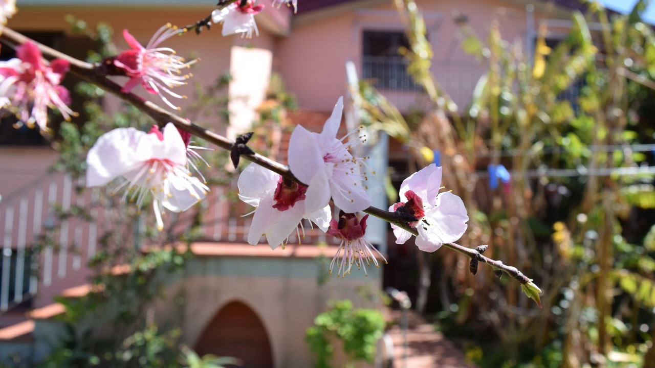 Photo of Outdoor in Arbatax