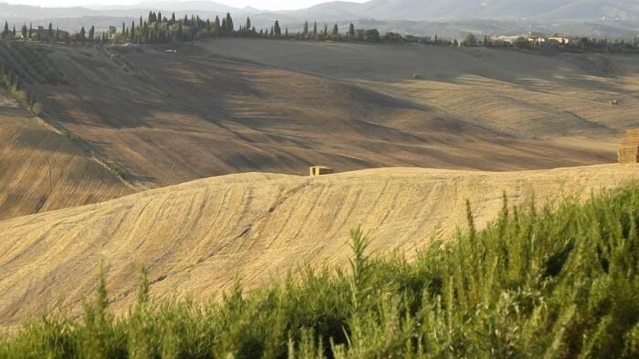 Photo of Outdoor in Ponte di Gabbiano