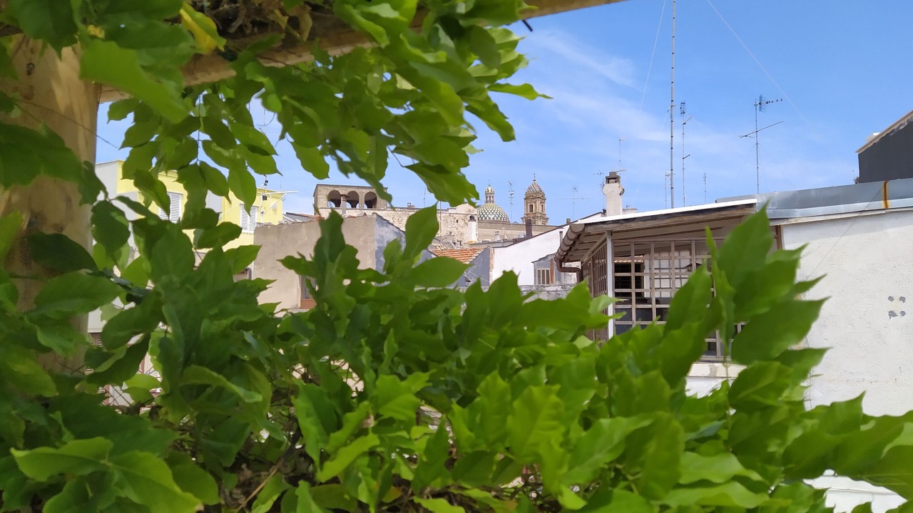 Photo of Others in Conversano