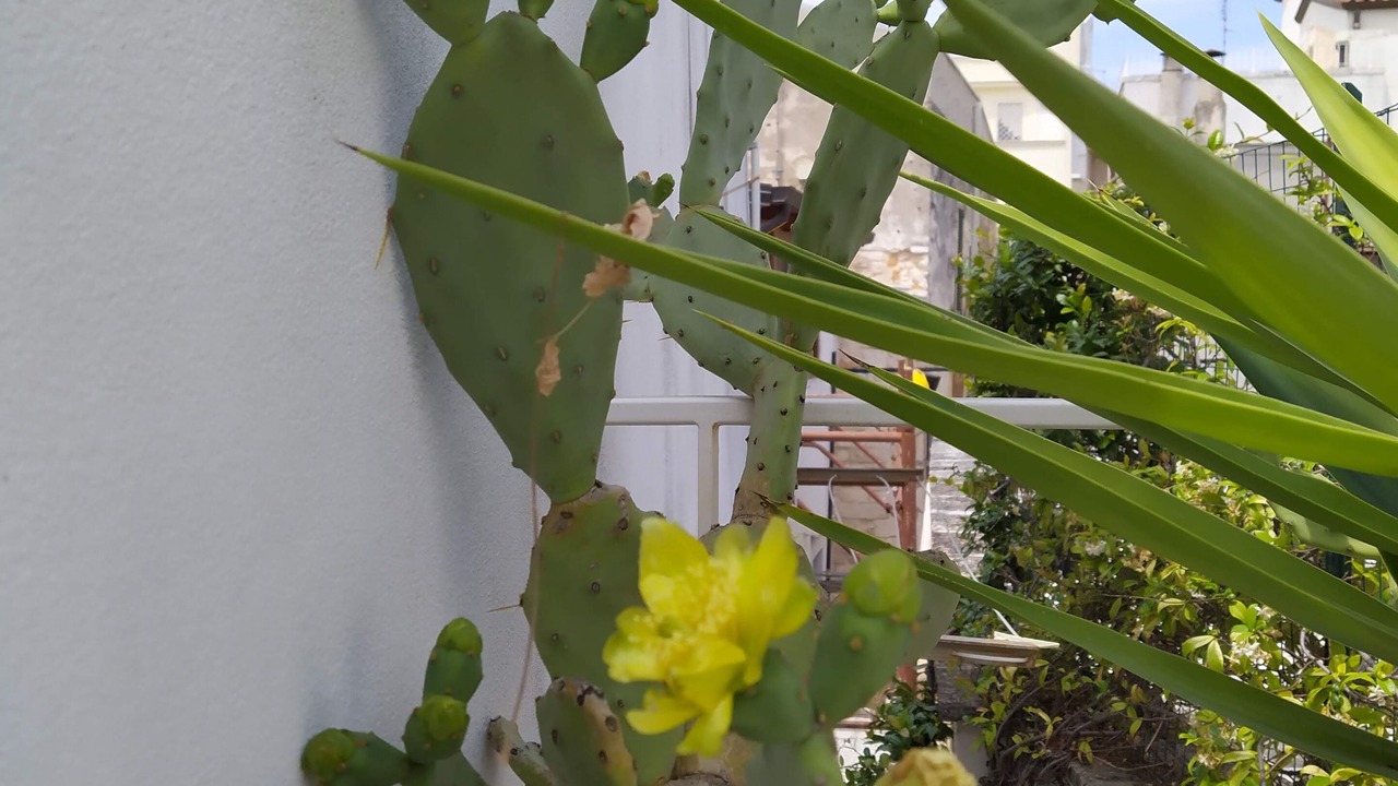 Photo of Others in Conversano