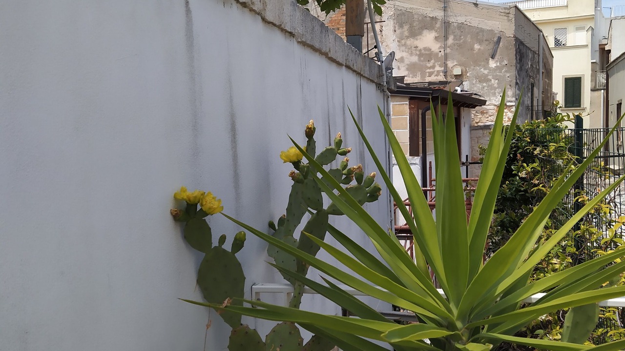 Photo of Others in Conversano