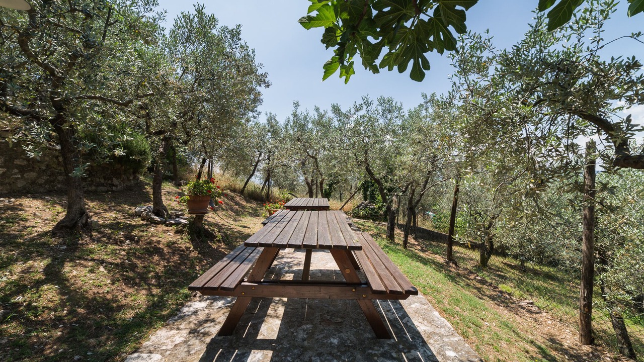 Photo of Outdoor in Bovara