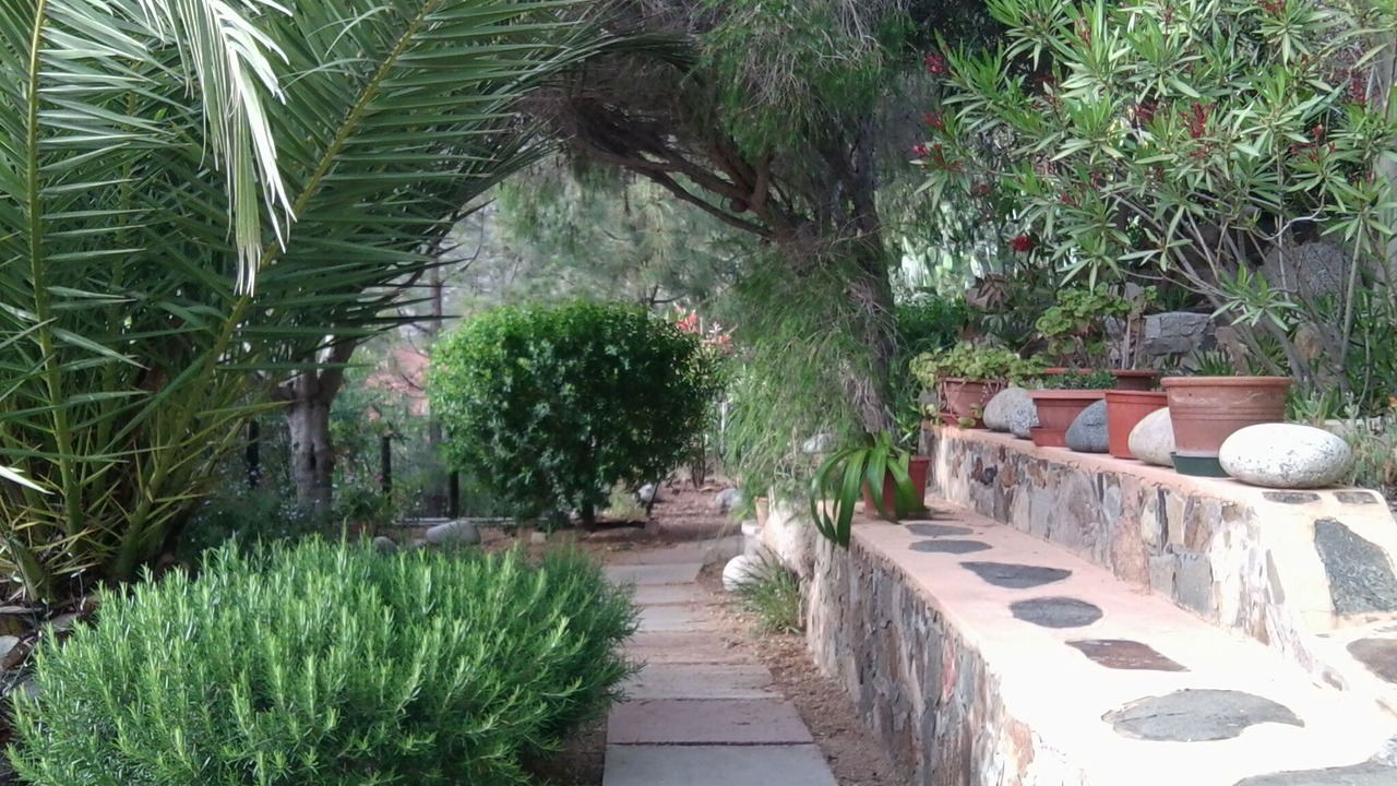 Photo of Outdoor in Porto Sa Ruxi