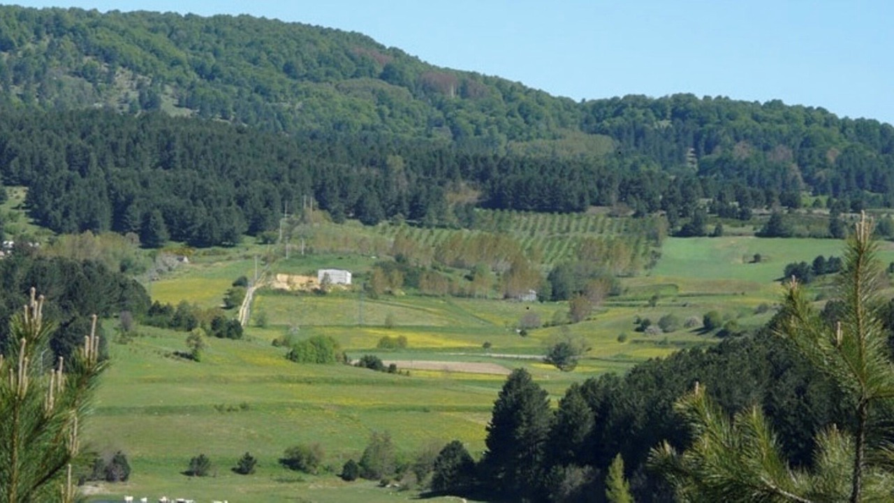Photo of Others in Camigliatello