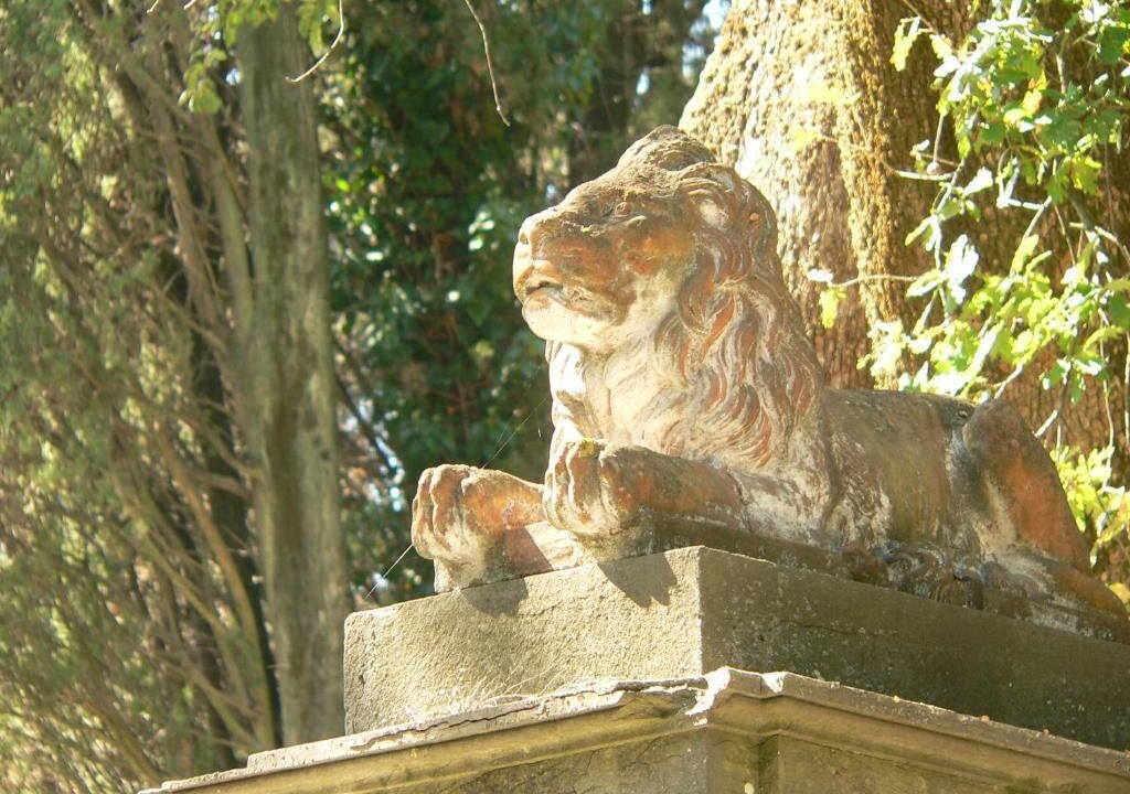 Photo of Outdoor in Saturnana