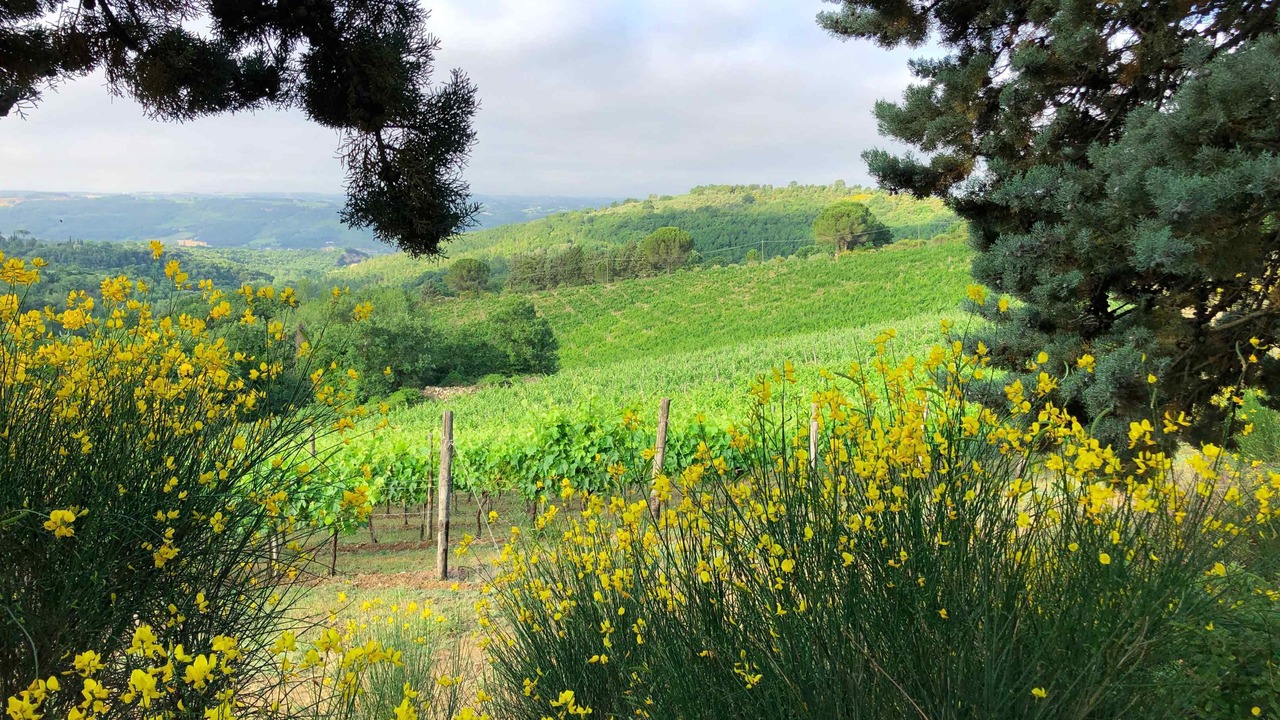 Photo of Outdoor in Orvieto