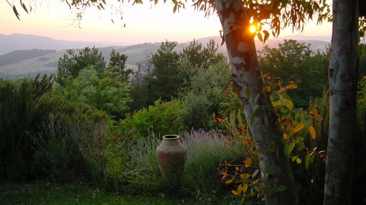 Photo of Outdoor in Radicondoli