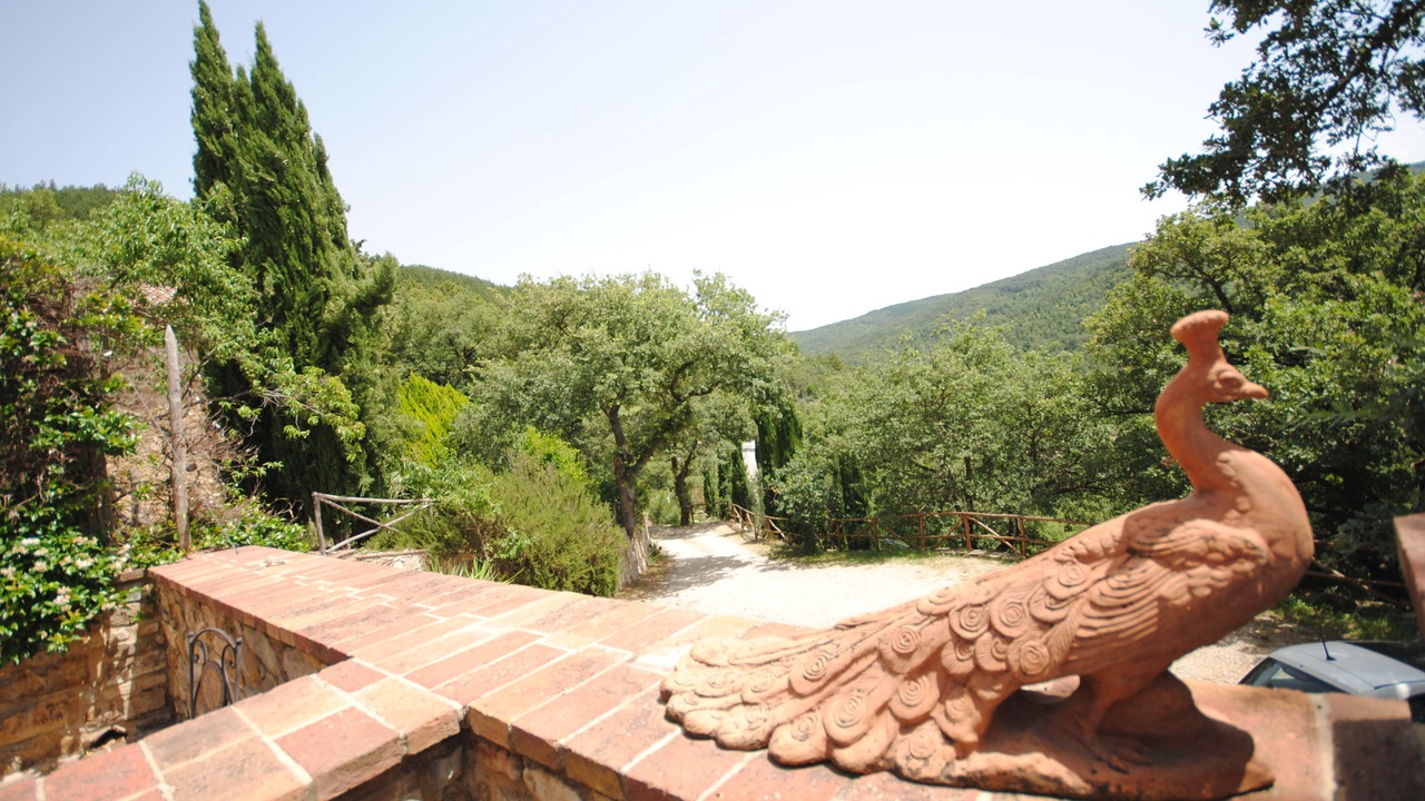 Photo of Outdoor in Radicondoli