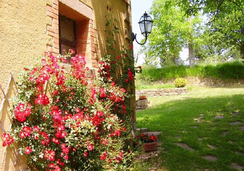 Photo of Outdoor in Giomici
