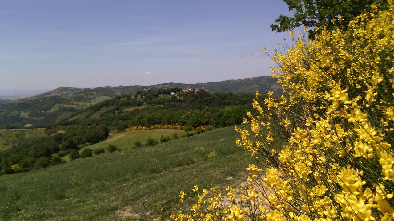 Photo of Outdoor in Giomici