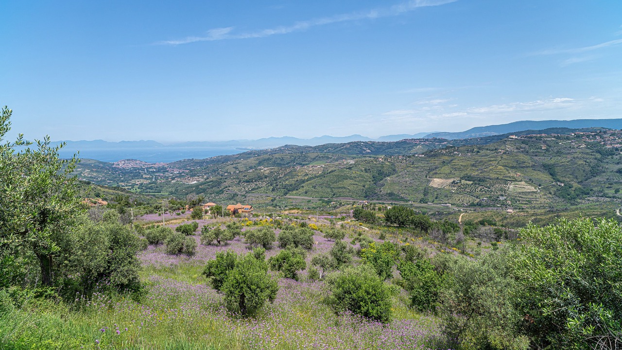 Photo of Outdoor in Laureana Cilento