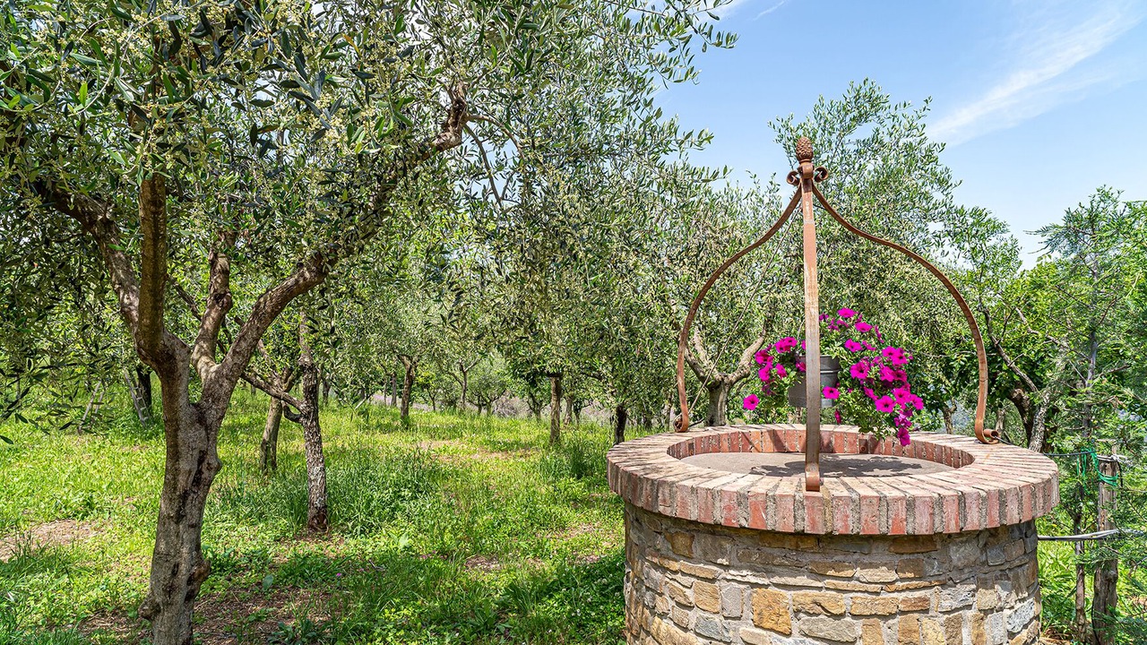 Photo of Outdoor in Laureana Cilento