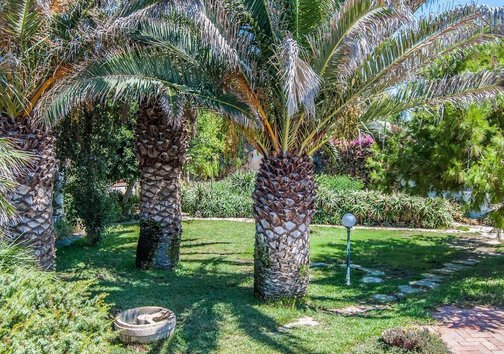 Photo of Outdoor in Caucana-finaiti-casuzze-finaiti Nord