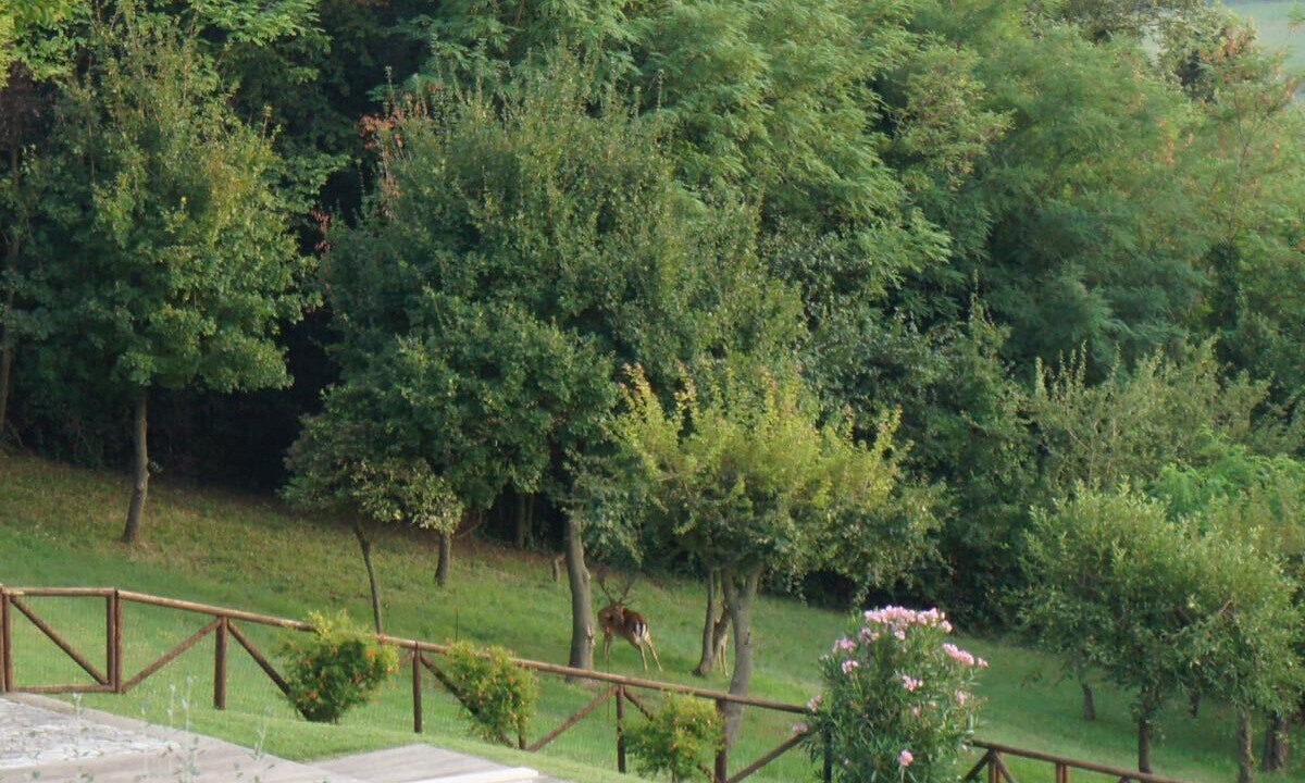Photo of Outdoor in Castel di Mezzo