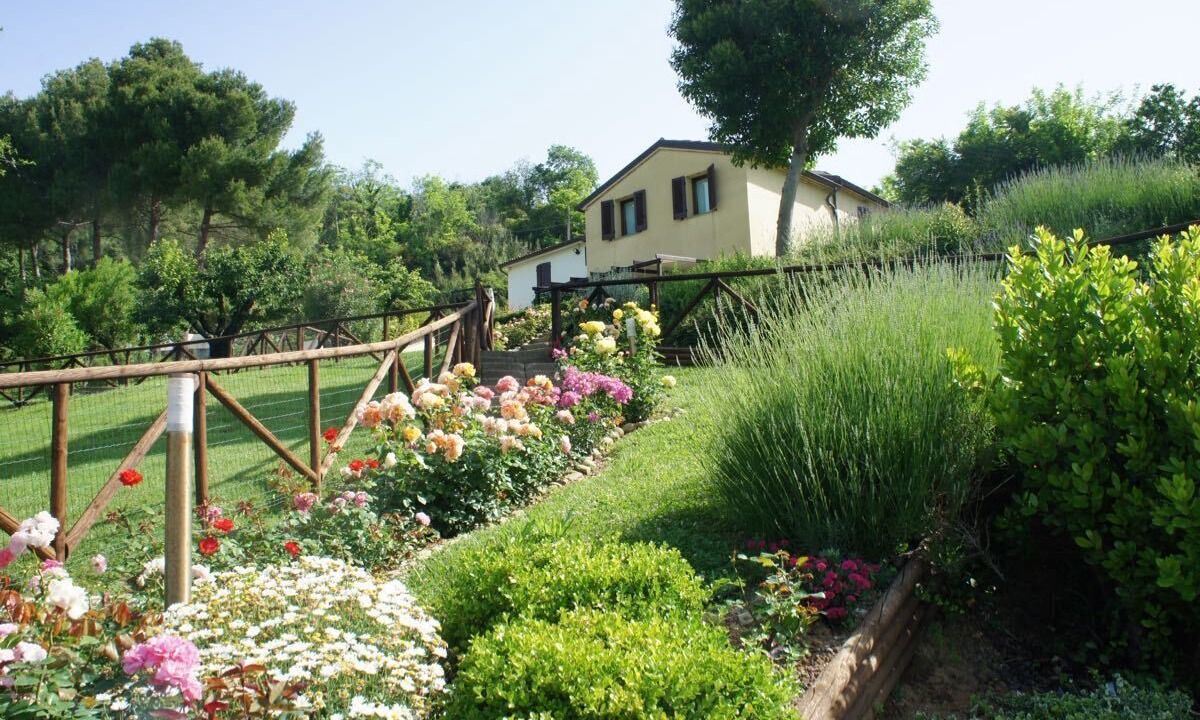 Photo of Outdoor in Castel di Mezzo