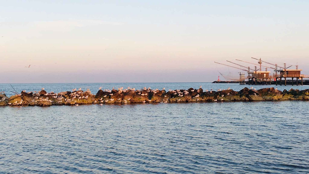 Photo of Others in Lido di Spina