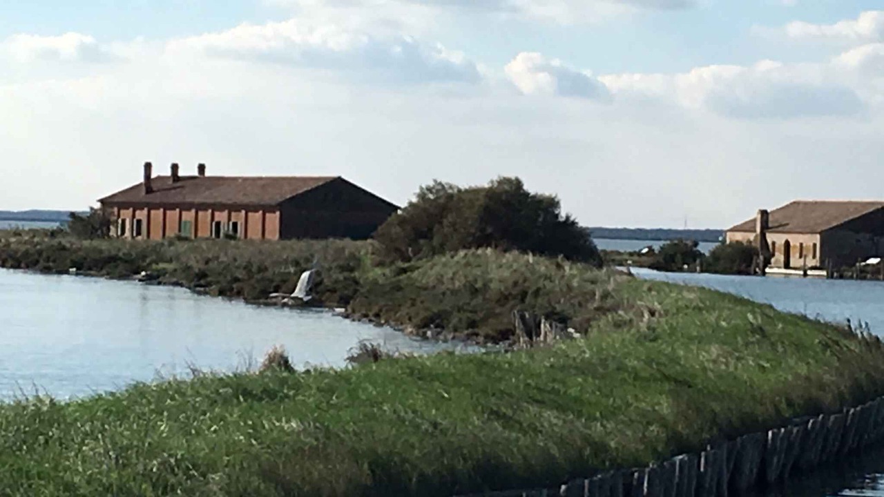 Photo of Others in Lido di Spina