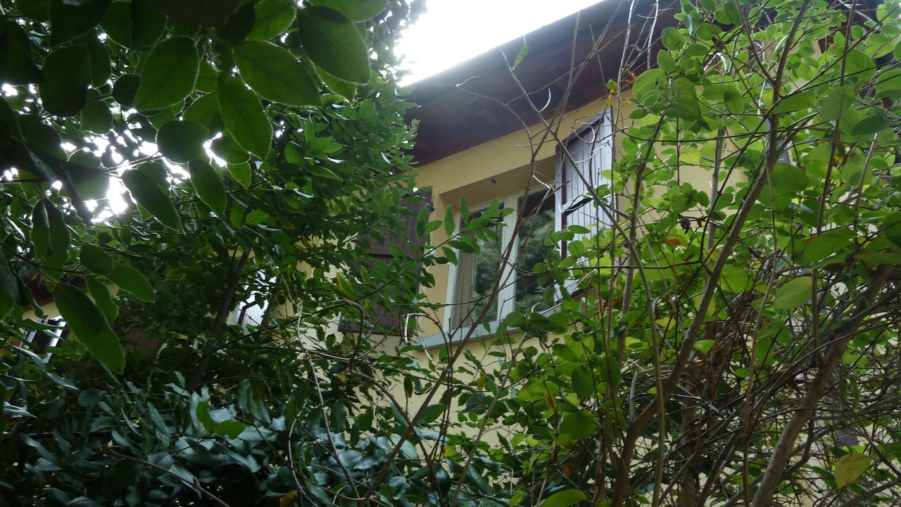 Photo of Outdoor in Province of Bologna