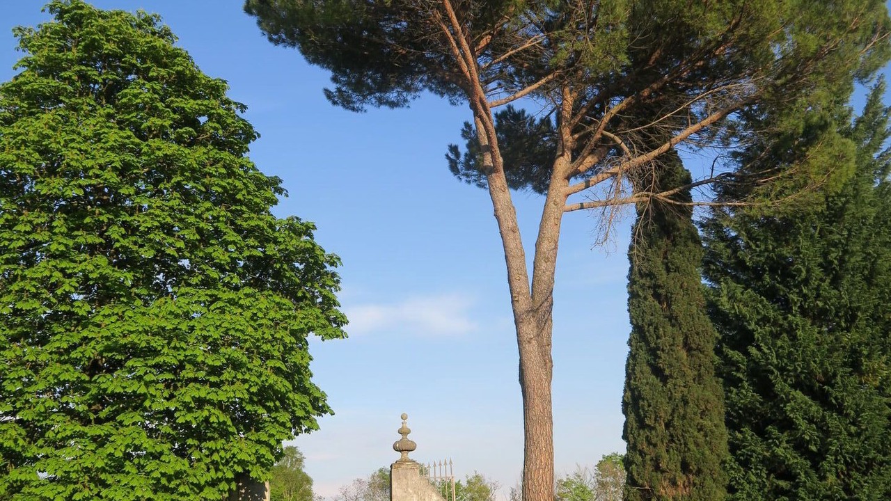 Photo of Others in Strassoldo