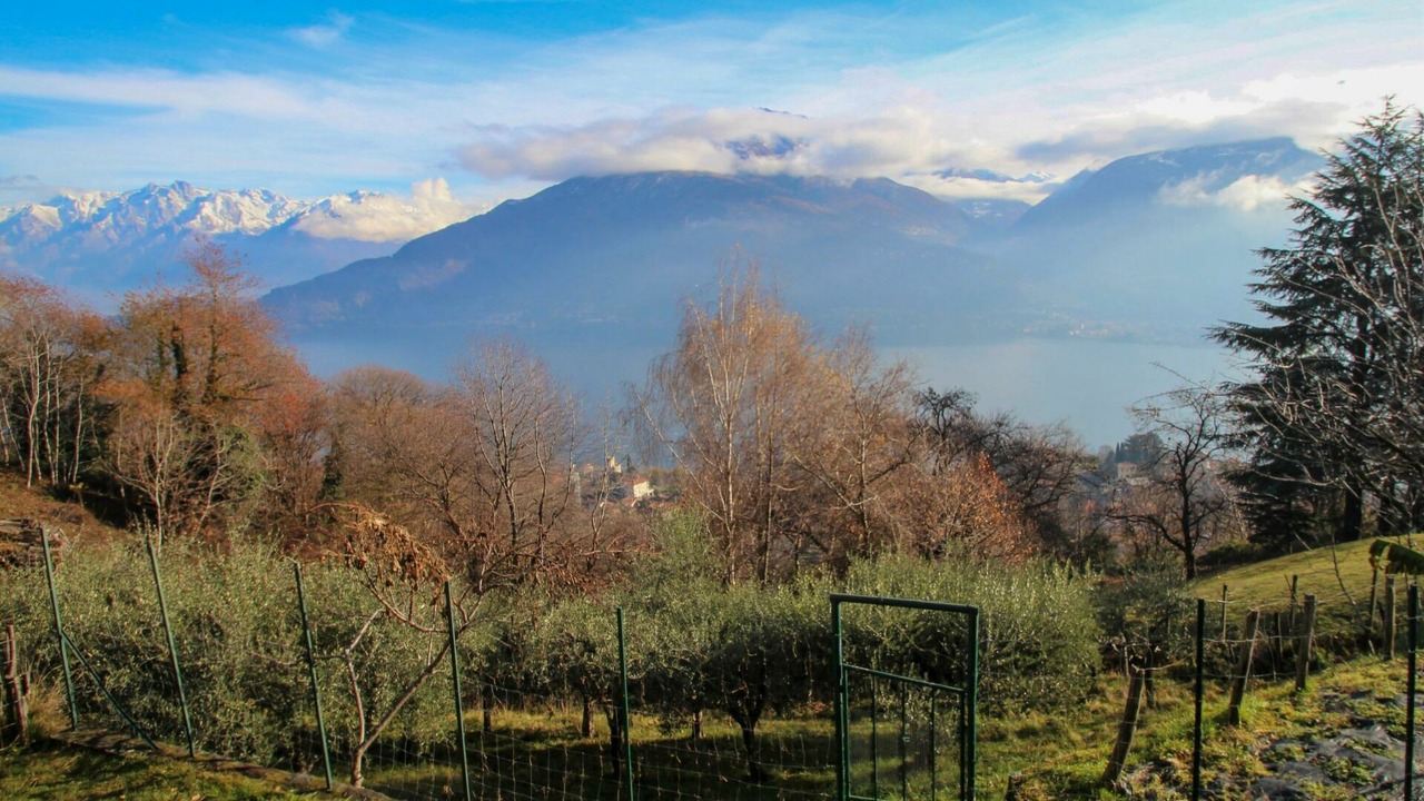 Photo of Others in Cremia