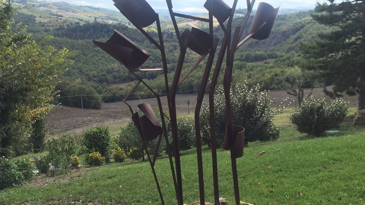 Photo of Others in San Venanzo