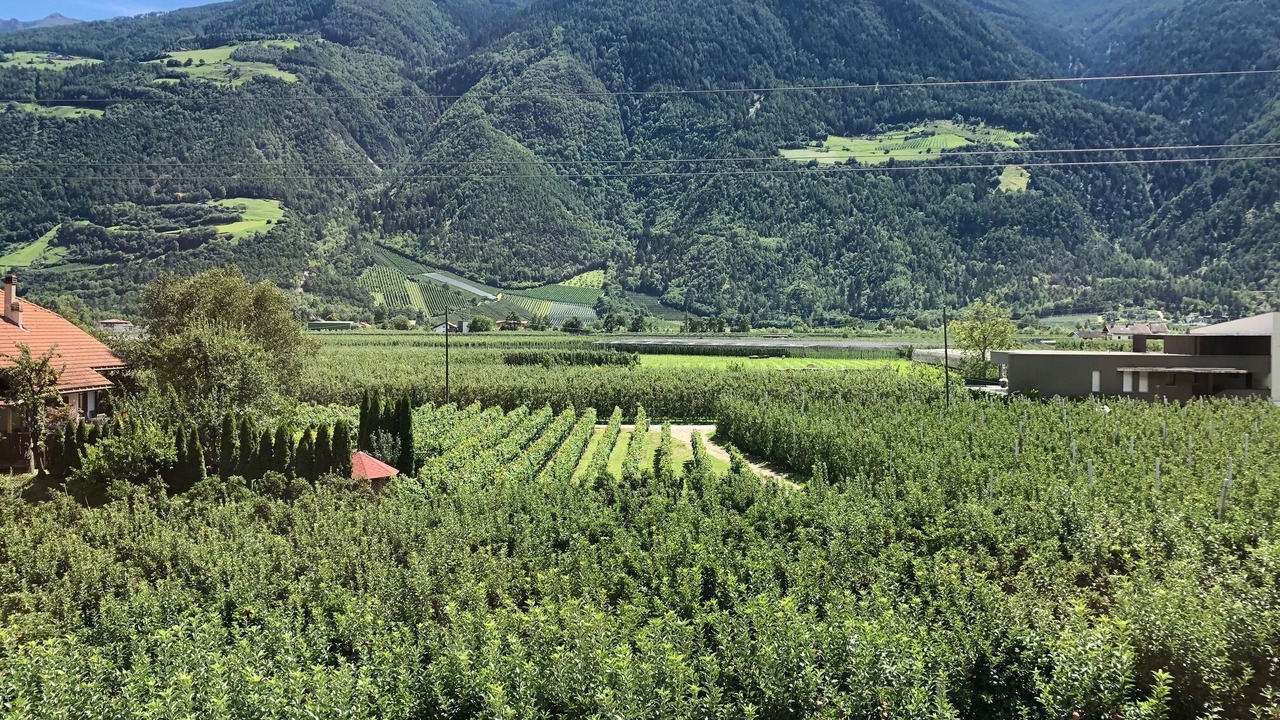 Photo of Others in Castelbello-Ciardes