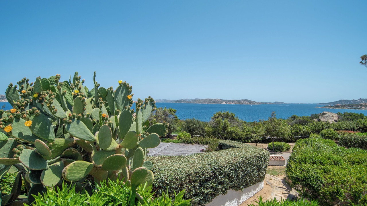 Photo of Outdoor in Porto Rafael