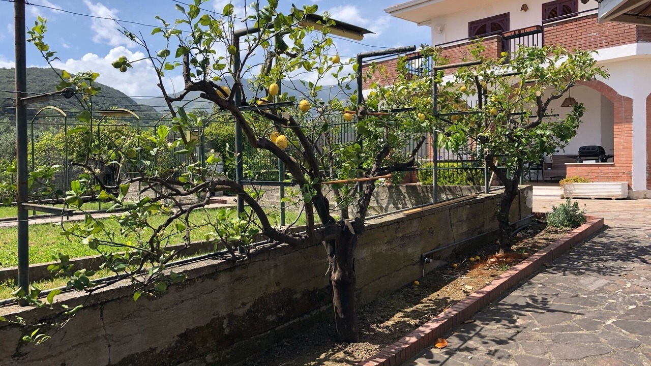Photo of Outdoor in Formia