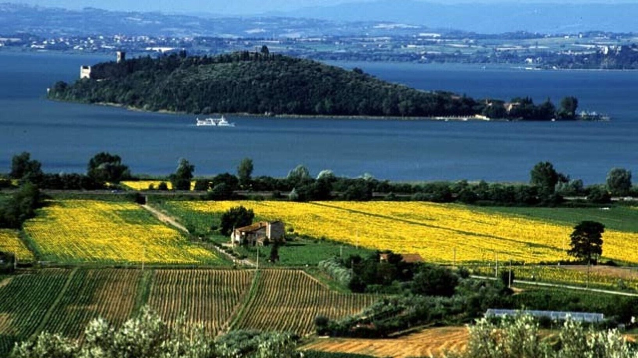 Photo of Outdoor in Monte del Lago