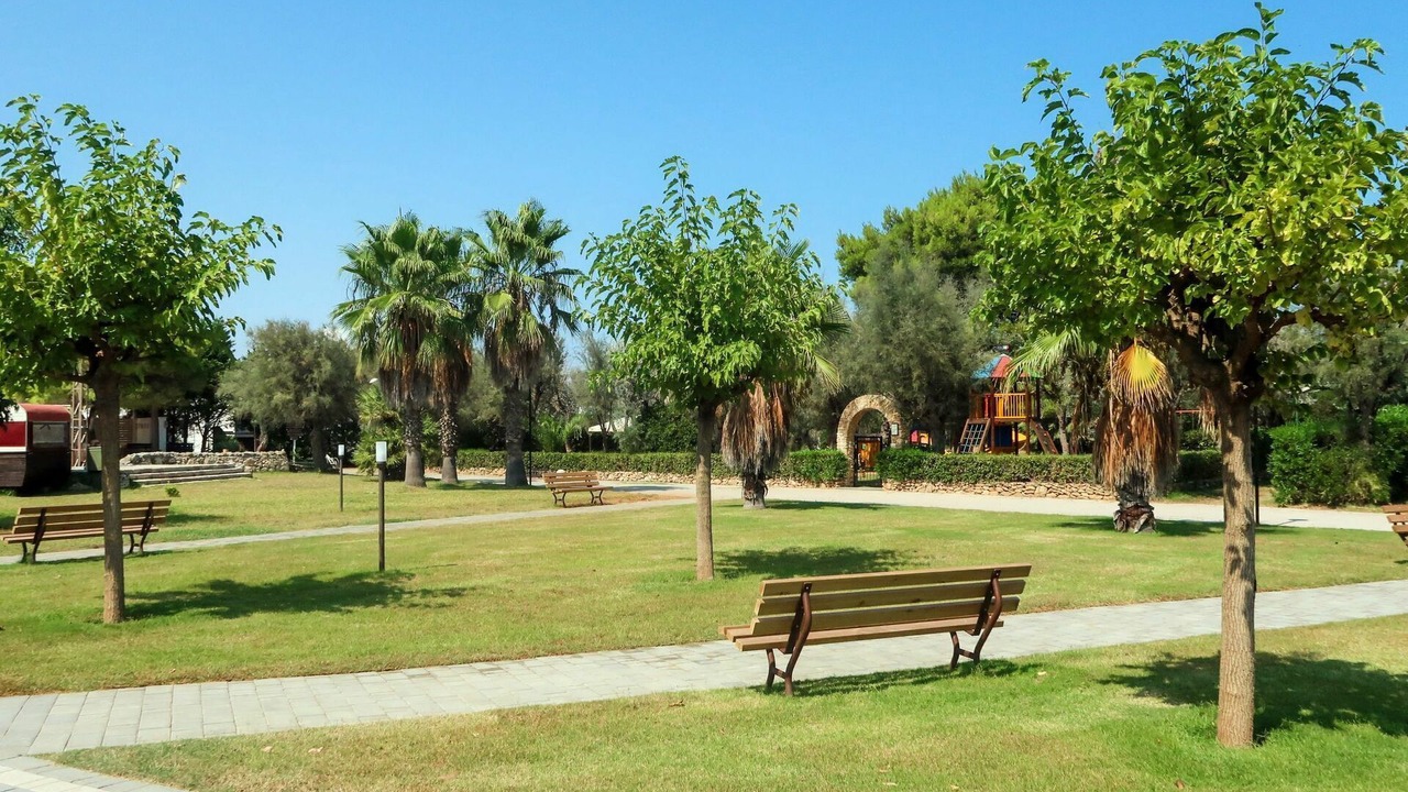 Photo of Others in Torre Rinalda