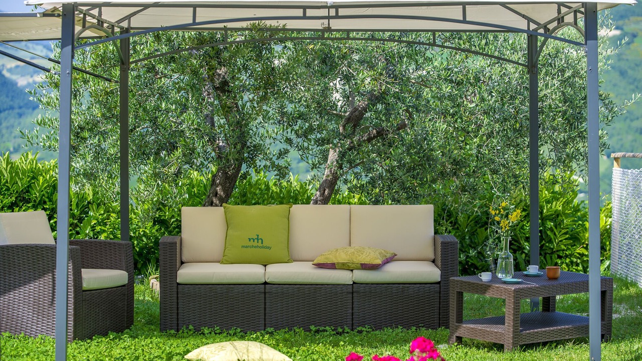 Photo of Outdoor in Pergola