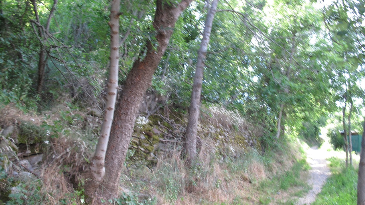 Photo of Outdoor in Charvensod