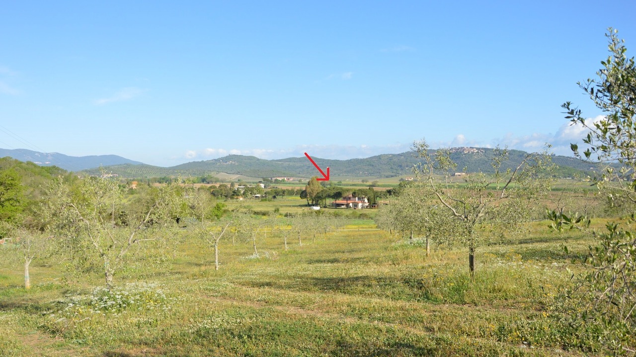 Photo of Outdoor in Castiglione della Pescaia