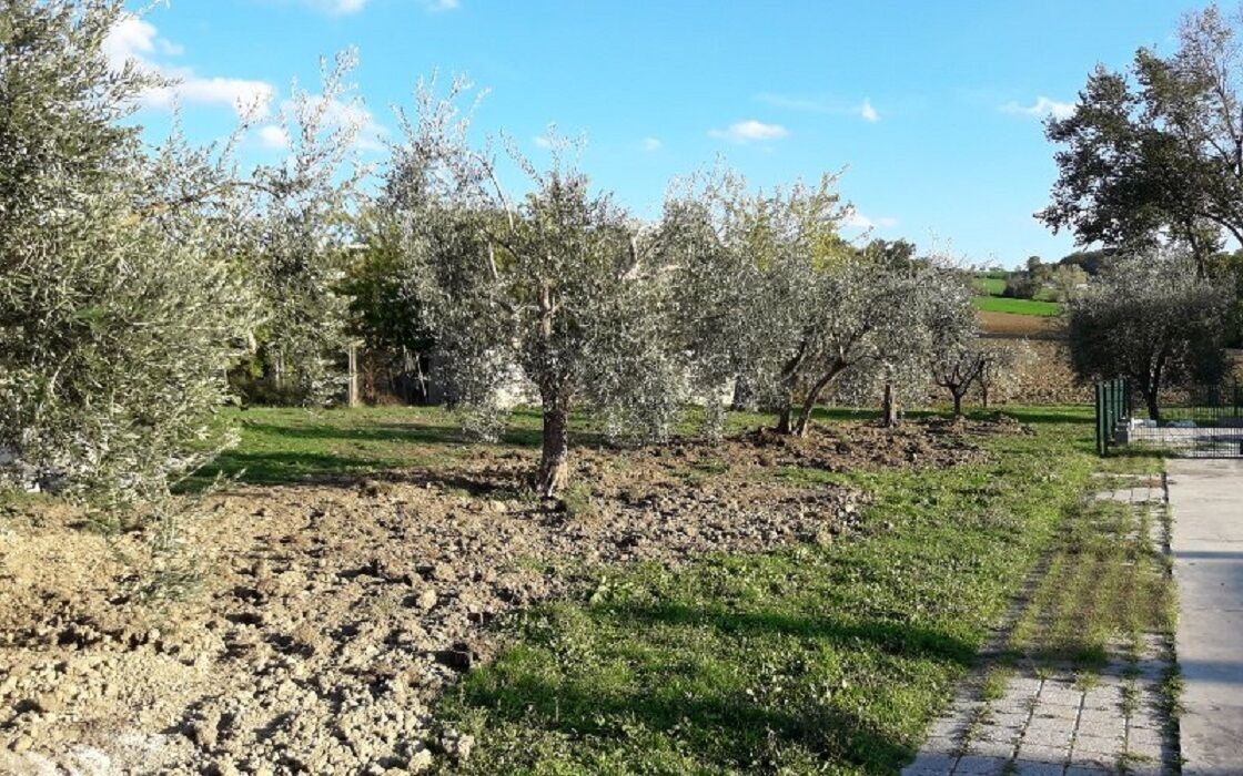 Photo of Outdoor in Fossombrone