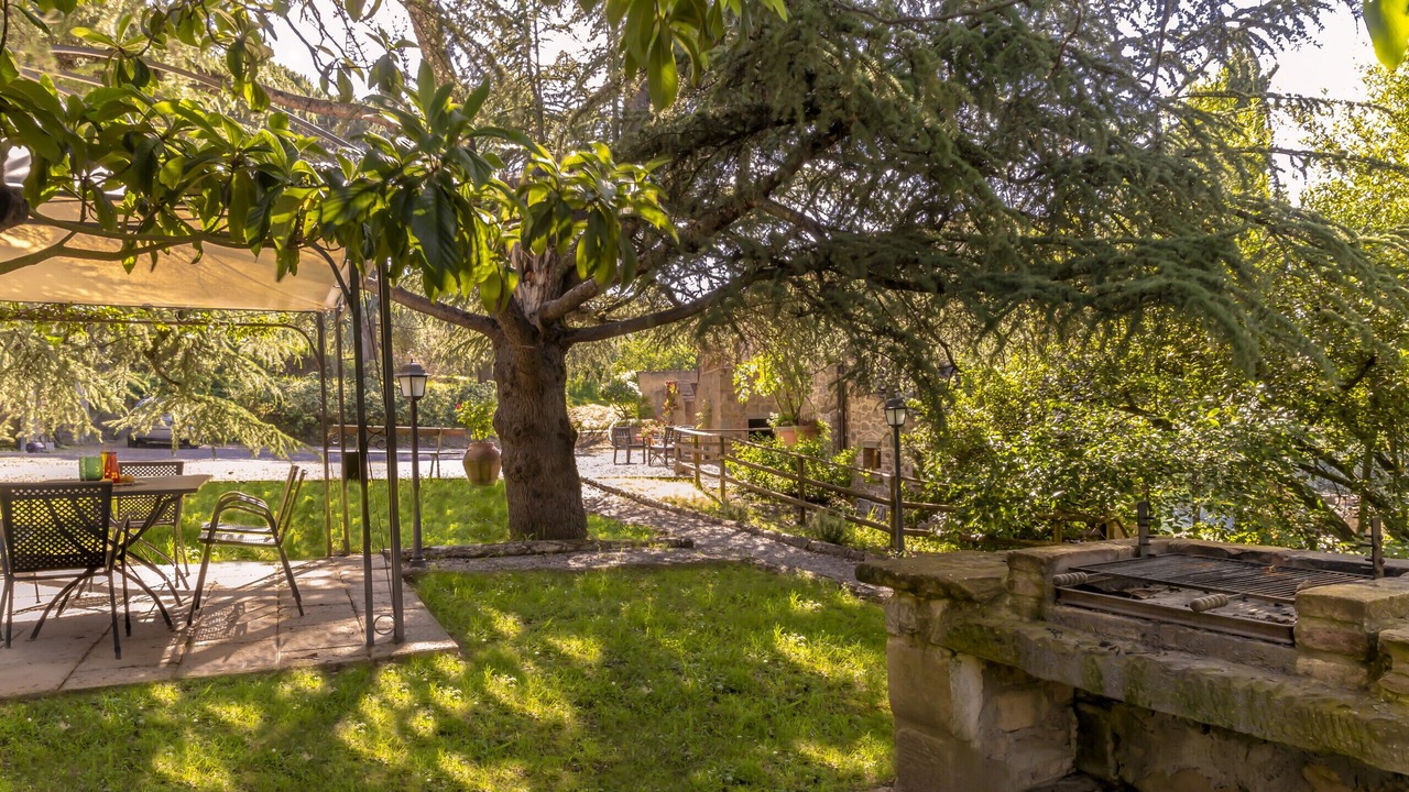Photo of Outdoor in Monte San Savino