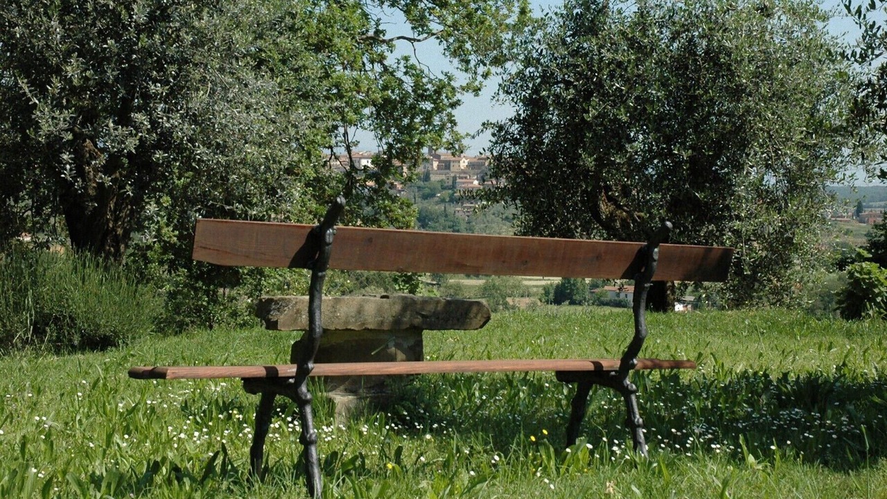 Photo of Outdoor in Monte San Savino