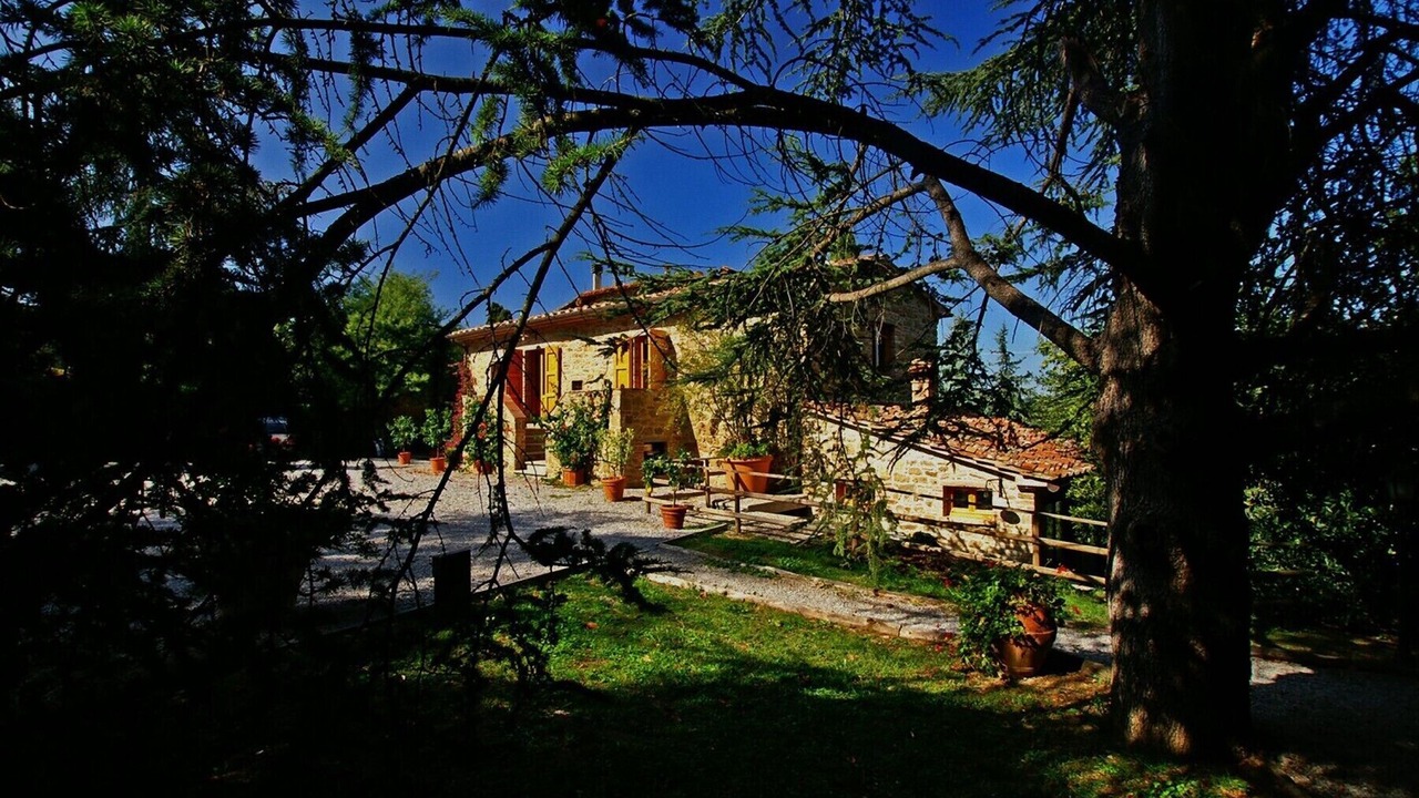 Photo of Outdoor in Monte San Savino