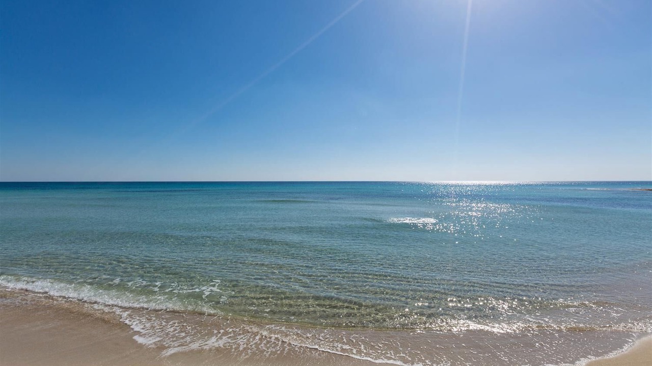 Photo of Others in Punta Prosciutto