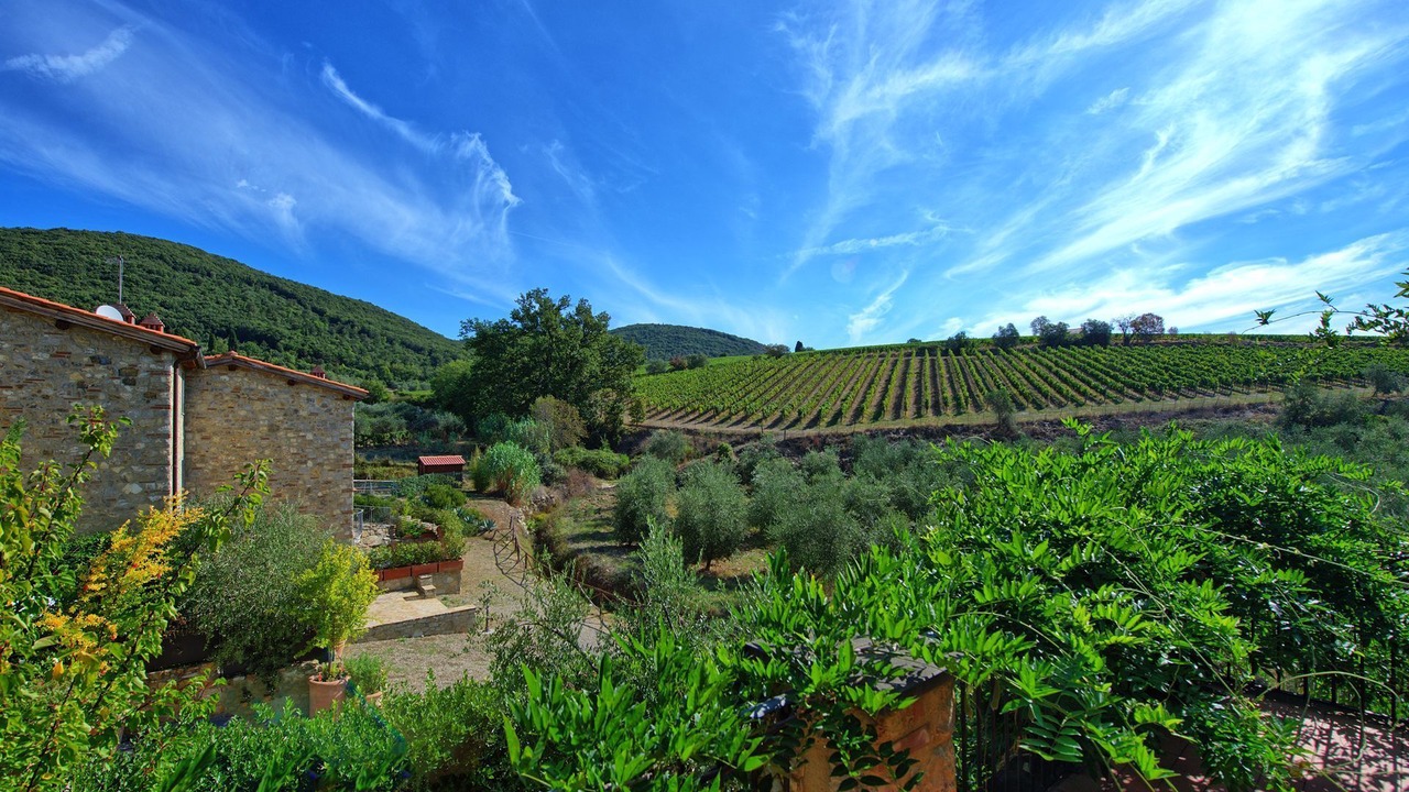 Photo of Others in Villa A Sesta