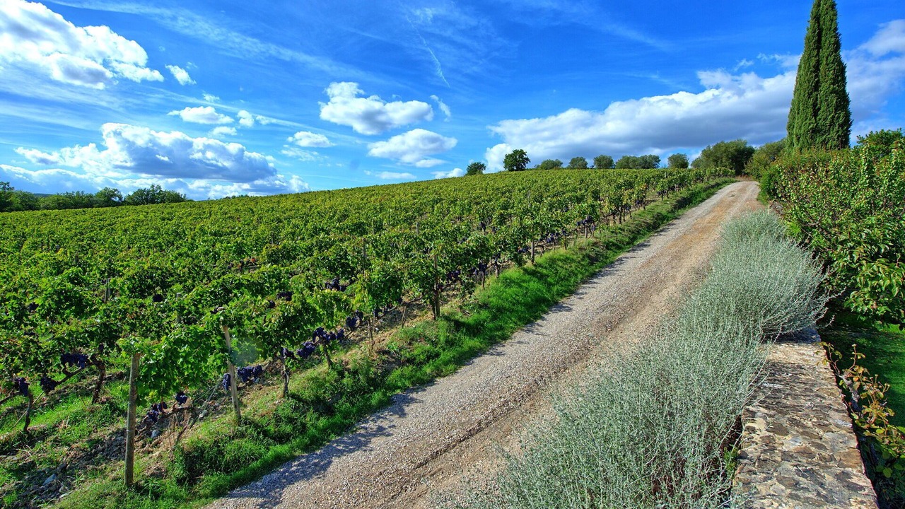Photo of Outdoor in Montalcino