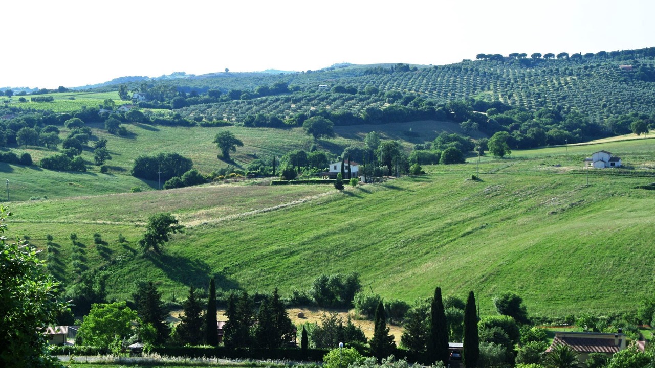 Photo of Others in Magliano in Toscana