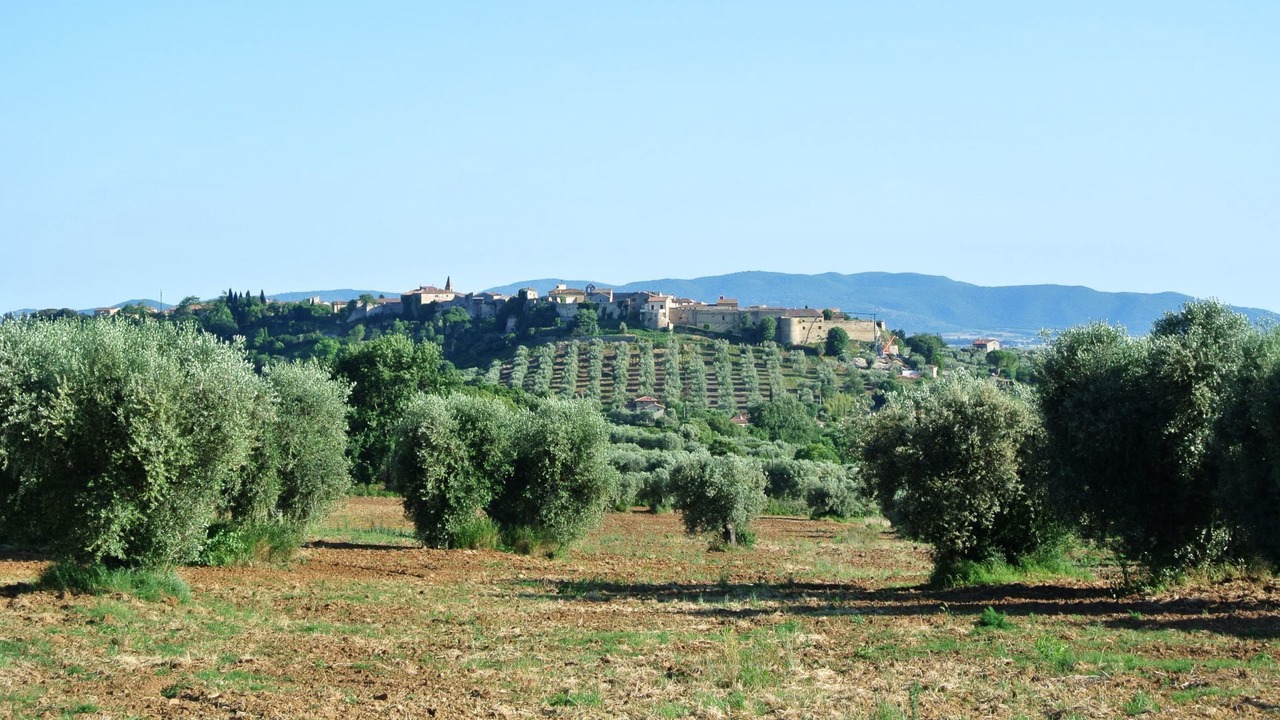 Photo of Others in Magliano in Toscana