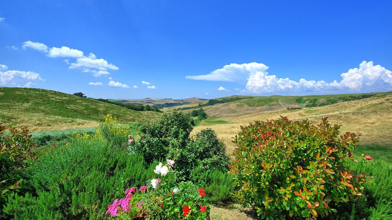 Photo of Others in Trequanda