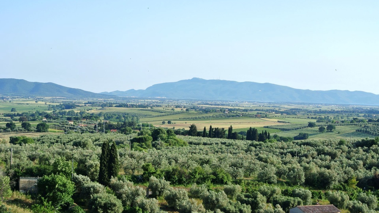 Photo of Others in Magliano in Toscana