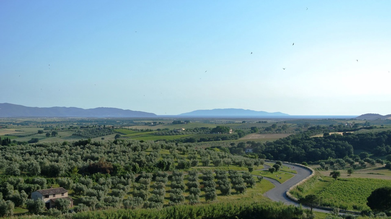 Photo of Others in Magliano in Toscana