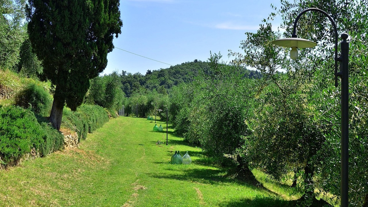 Photo of Outdoor in San Miniato
