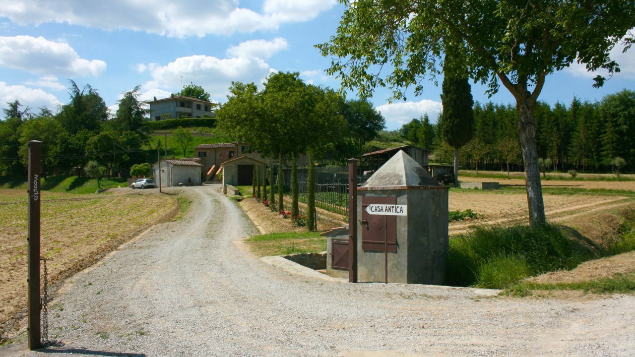 Photo of Others in Monte San Savino