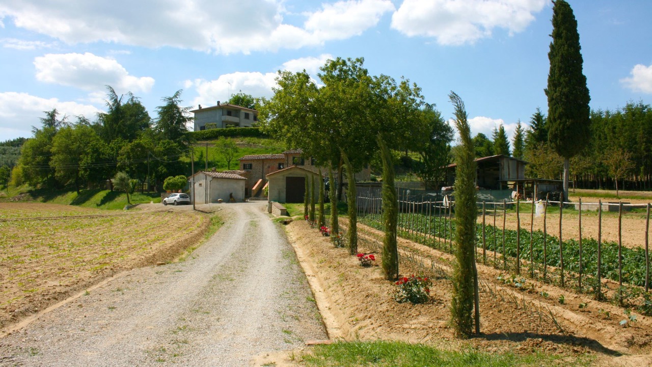 Photo of Others in Monte San Savino